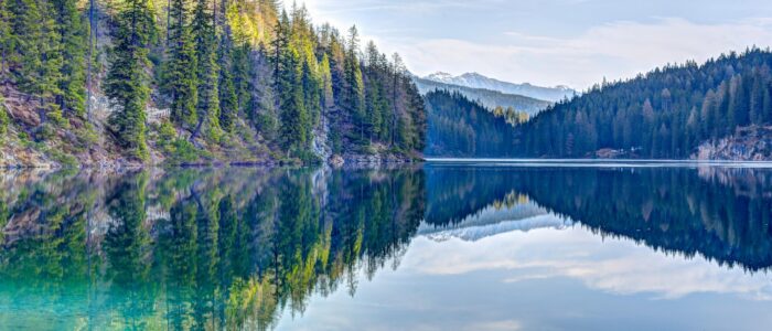 pexels eberhardgross 1064162