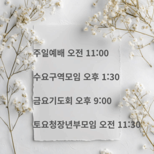 주일예배 오전 1100 수요구역모임 오후 130 금요기도회 오후 900 토요청장년부모임 오전 1130